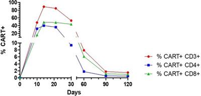 Successful CAR-T cell therapy in a refractory MCL patient with bacterial, fungal and COVID-19 infection: a case report